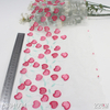 Embroidery Lace Trim – Pink Cherry Pattern on Mesh, 22cm Width