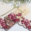 Embroidery Lace Trim – Gradient Rose Pattern on Nude Mesh, 21cm Width