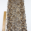 Elastic Lace Trim – Leopard Pattern, 19.5cm Width