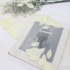 23cm Appliqu&eacute; Lace Trim Manufacturer – Yellow Tulle Lace with Leaf Embroidery for Dress & Bridal