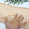 23cm Gold Lace Trim Manufacturer – Embroidered Tulle Lace with Metallic Thread for Bridal & Dress