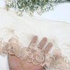Ginkgo Leaf Embroidered Tulle Lace Trim with Metallic Thread – 22cm Nude Mesh Lace