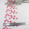 Embroidery Lace Trim – Pink Cherry Pattern on Mesh, 22cm Width