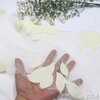 23cm Appliqu&eacute; Lace Trim Manufacturer – Yellow Tulle Lace with Leaf Embroidery for Dress & Bridal